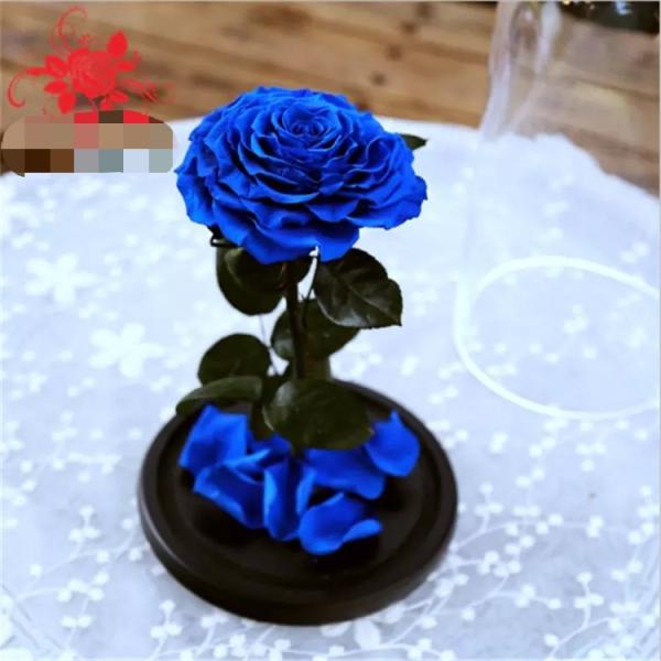 Natural Fresh flower rose Preserved rose in glass terrariums with base for luxury gifts