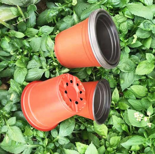 Bicolor Plastic Succulent Plants Flower Pot