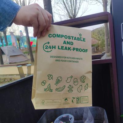 Biodegradable Disposable Brown Paper Bags Custom Printed Compostable Brown Paper Bags Waterproof