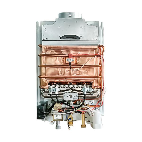 6L Flue Gas Water Heater Home Shower Tankless
