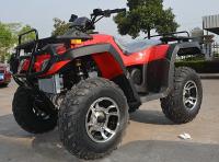 Le quadruple adulte de la course 18.35hp 300cc Atv de l'allumage 4 de CDI fait du vélo 4x4 65km/H