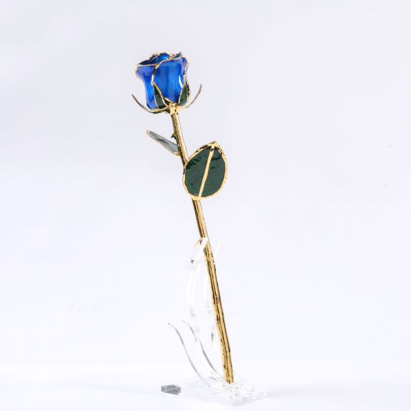 24K Gold-plated Rose Flowers, Natural Rose Craftsmanship, Single Branch, Blue Rose, in Bloom, Rose Resin Preservation