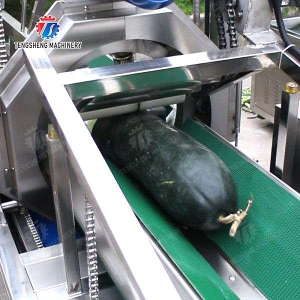 大型冬のメロンの剥削機 パパイア チヒクア プープキンのワックス カボチャ アナナス 水瓜 ハミ メロンの加工生産 剥き・磨き