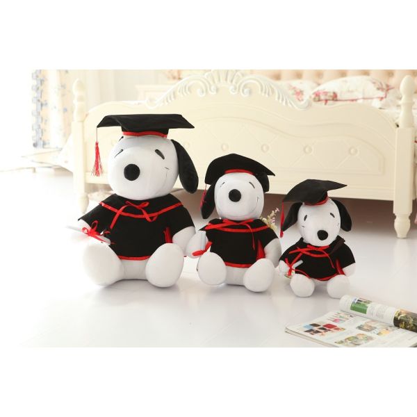 Doctor Graduation Plush Teddy Bear For Graduation Celebration 30cm