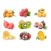 Linha de produção 200kg do fruto e da manga de paixão pela hora