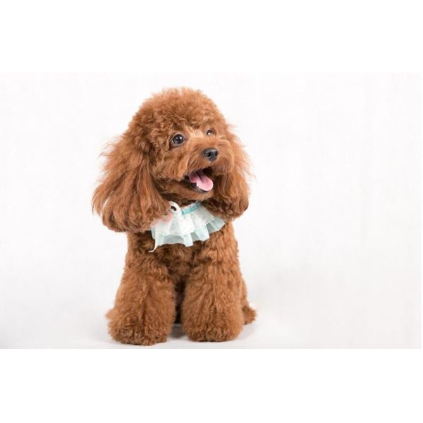 Перезаряжаемые триммер волос собаки клипера волос 9mm любимца PHC-2