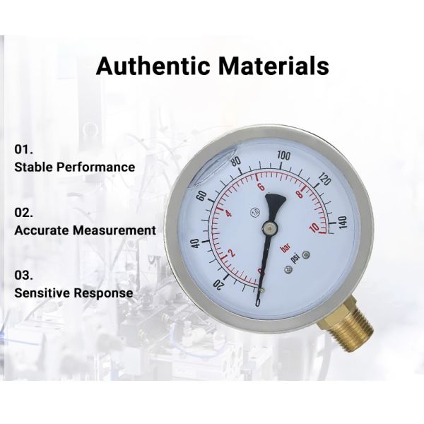 100mm NPT1/2 Brass Connection Pressure Gauge with Stainless Steel Housing OEM Support