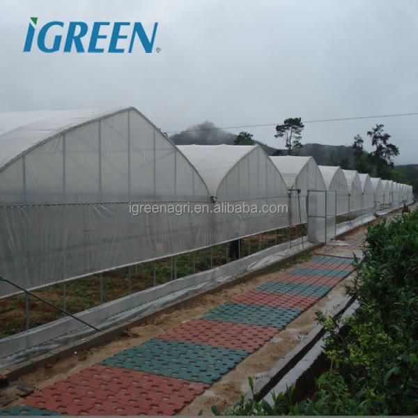 WL8132X Single Greenhouses Agricultural Plastic Film Panels 7-10m