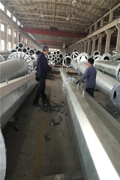 Порошок РАЛ покрытый вокруг фонарных столбов парковки стиля для уличного освещения