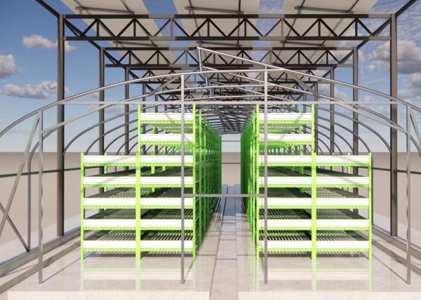 Solar Powered Black Film Greenhouse Mushroom Farming Strong Plastic Greenhouse