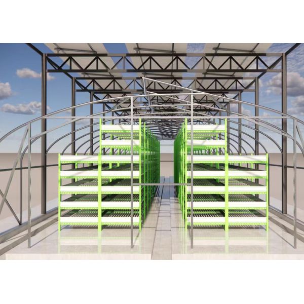 Solar Powered Black Film Greenhouse Mushroom Farming Strong Plastic Greenhouse