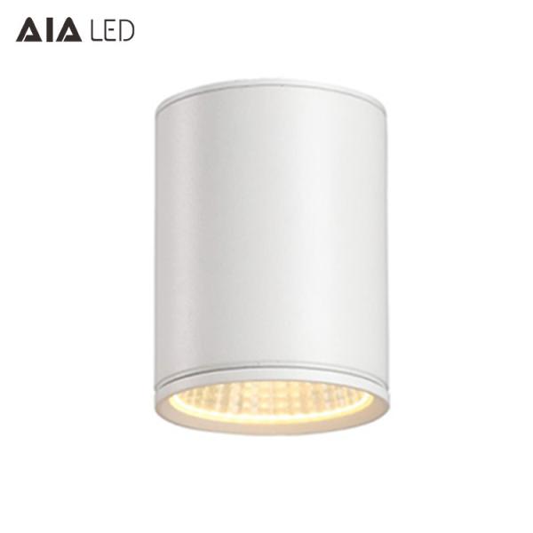 IP65 waterproof outside round DALI dimmable 50W COB LED down light&outdoor LED downligthing