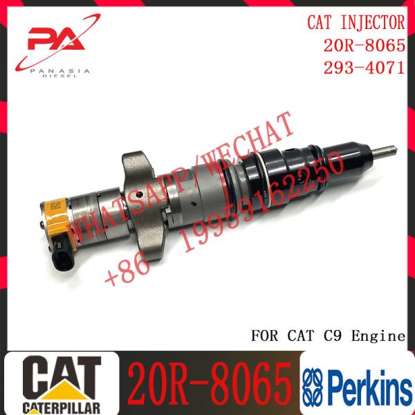 C7 C9 Diesel fuel injector 293-4073 20R-8065 10R-4844 328-2573 553-2592 557-7633 557-7637 328-2578 for C-A-T excavator