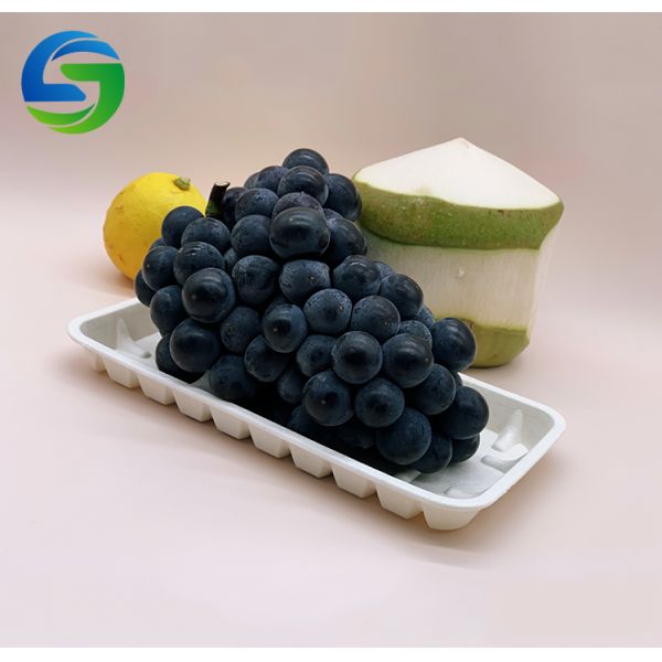 Heat Resistant Square  22g 24×13×2cm Corn Starch Plates