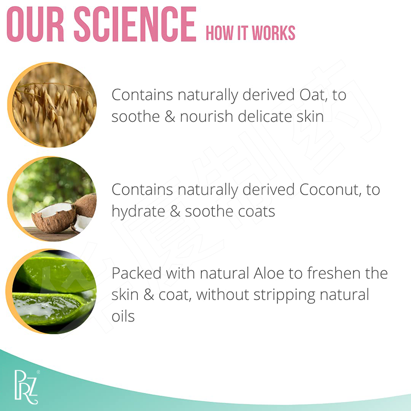 Coconut Oil Oatmeal Aloe Gentle Dog Shampoo And Conditioner 220ML