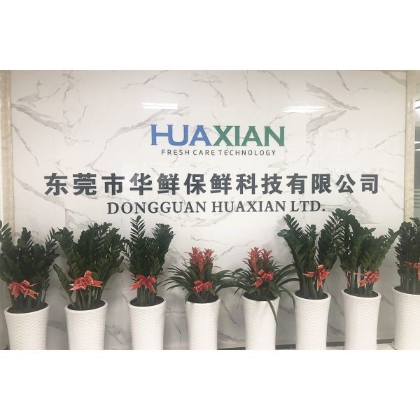 DONGGUAN HUAXIAN LTD.