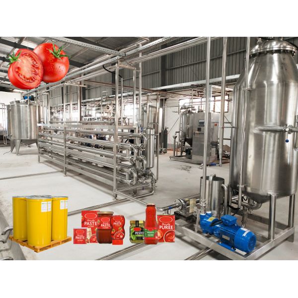Turnkey Tomato Paste Production Line High Capacity Processing Plant