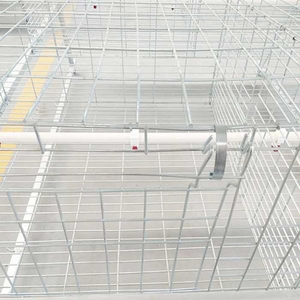 Waterproof 380V Broiler Chicken Cage Hot Galvanized Surface 20 - 25 Years Warranty