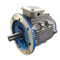 IE5 ligne moteur à un aimant permanent de début, moteur électrique synchrone à C.A. IP68