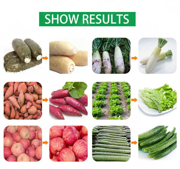 Industrial Automatic Food Processor Fruit Vegetable Ozone Bubble Washer Ultrasonic Ginger Cassava Washing Machine