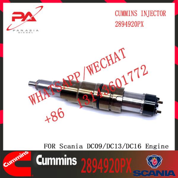 Quente-vendendo o injetor de combustível comum diesel novo 2894920PX do trilho 2894920