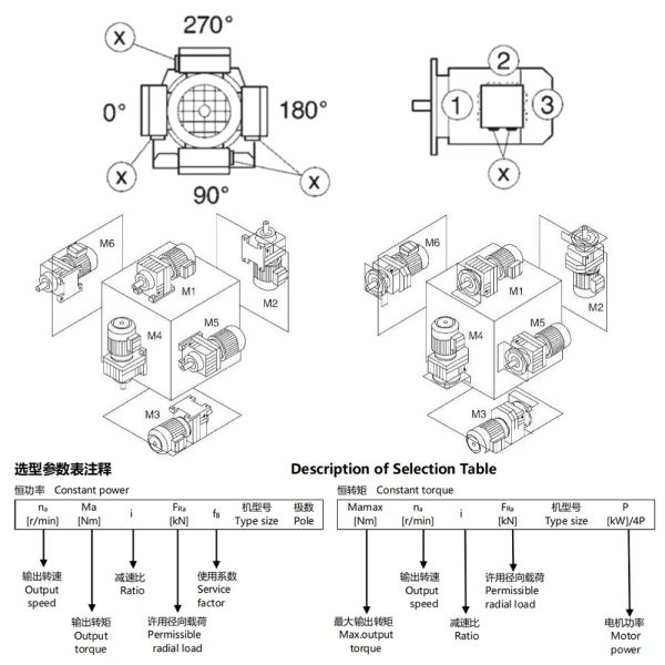 Customized Wear-Resistant Gear Reducer with Overload Protection and CE Certified for Enhanced Motor Efficiency
