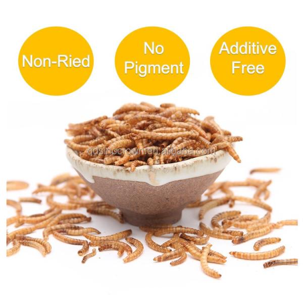 Dried Mealworms Natural Protein-Rich Mealworm Treats for Pets