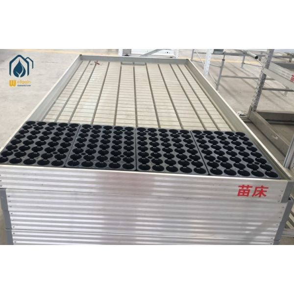 Vegetable Ebb And Flow Trays Hydroponics Greenhouse Growing Trays Commercial