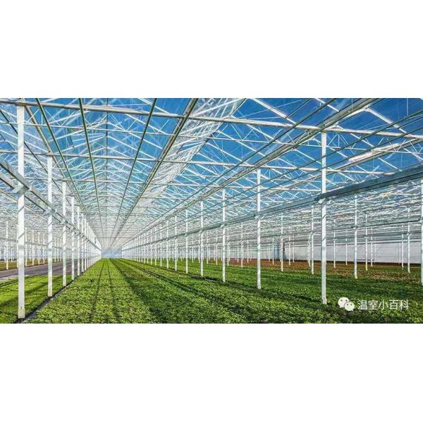 Customizable Greenhouse Glass Panels 3.2mm 4mm Glass For Greenhouse Roof