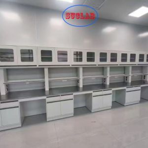 Medical Metal Lab Casework Laboratory Equipment Full Steel Structure