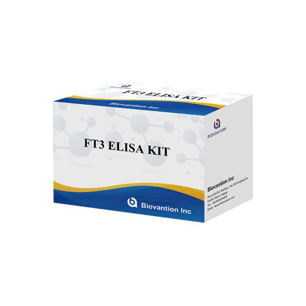 FT3 Elisa Test Kit 110 Minutes Free Triiodothyronine T3 Free Blood Test