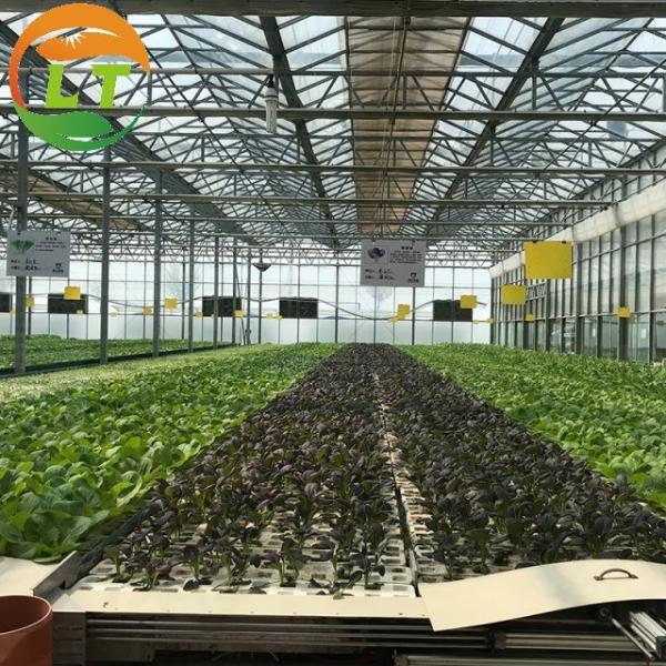 Estufas agrícolas multiespan com aço galvanizado a quente e sistema inteligente