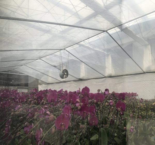 Outdoor Green House Metal Frame Farming Agriculture Commercial Large Multi-span Plastic Greenhouse For Plants