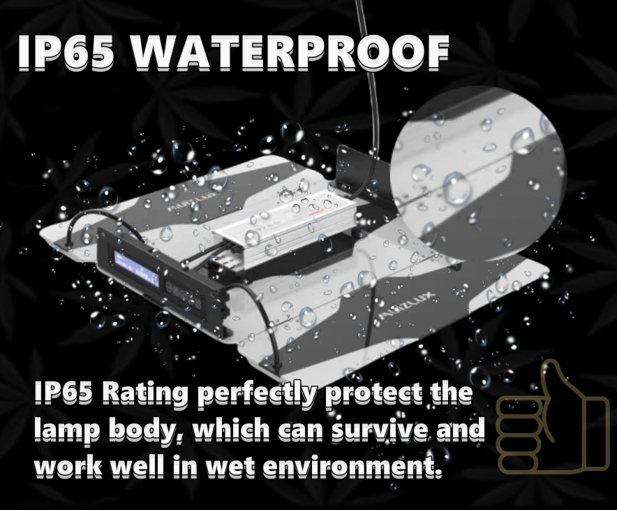 Оксфордская ткань 600D Mylar 80x80x160CM Растительная палатка Полный комплект Легкая установка