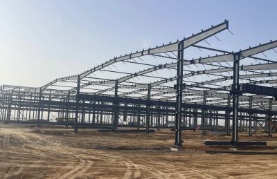 Fast Construction Light Steel Structure Pigsties Typhoon Resistant Chicken Houses Pig Houses
