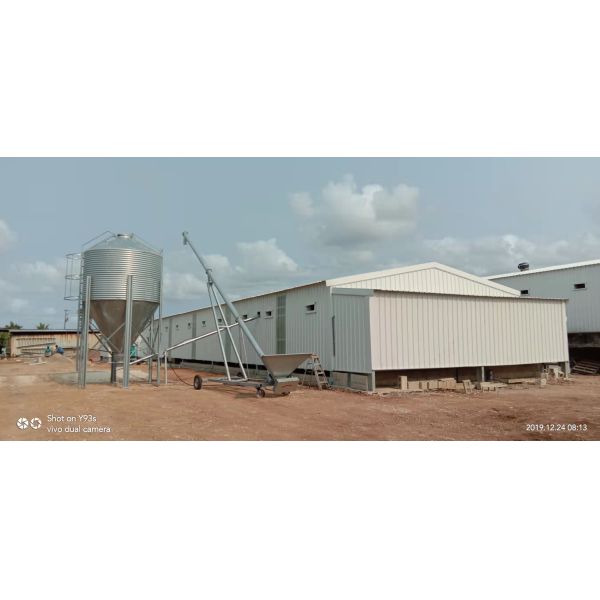 Покраска Животноводство Ферма Дом Сварка Болт Префабрикованный стальной склад