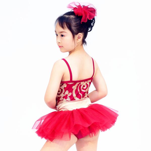Fancy Kids Dance Clothes Floral Sequin Dress Matching Tulle Tutu Skirt