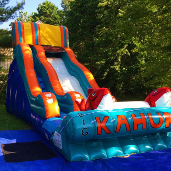 Commercial Occasions Inflatable Jumper Water Slide with Pool 2 Carps Slide