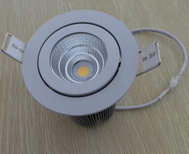 COB Led Ceiling light fixture