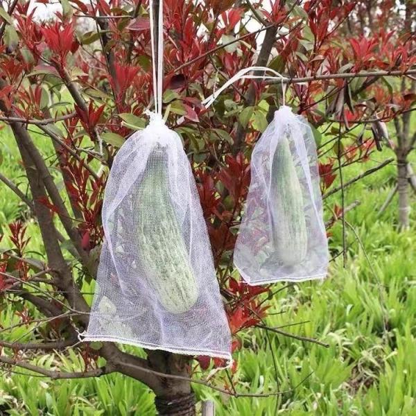 Popular Agriculture Yellow Hdpe Tubular Mesh Bags for Grapes Fruit Cover Protection