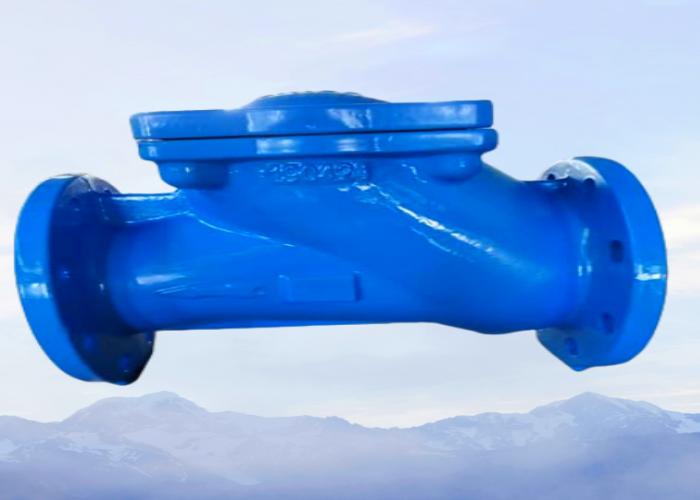 Ductile Iron Rubber Disc Check Valve for Municipal Drainage Systems