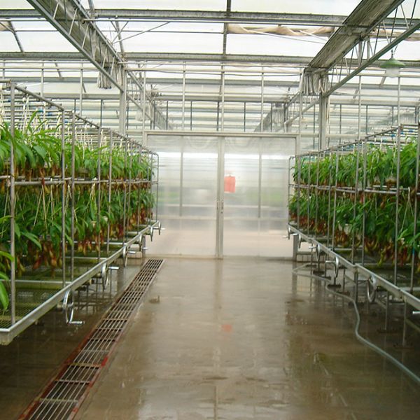 Advanced Glass Modern Greenhouse For Optimal Light Transmission And Heat Preservation