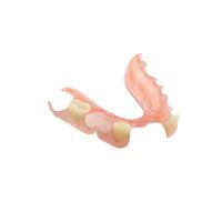 3D a imprimé les laboratoires dentaires de dentiers extérieurs lisses provisoires de couronne de résine