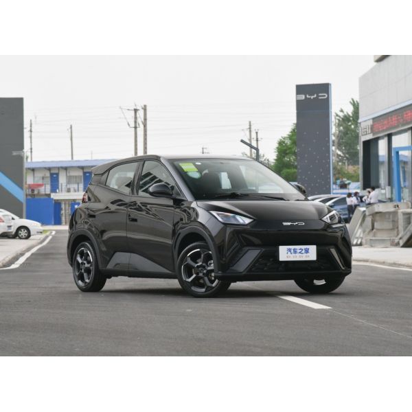 Electric Car Adult BYD Segull 2024 Energy Vehicles Small SUV Car 405km Flying Edition