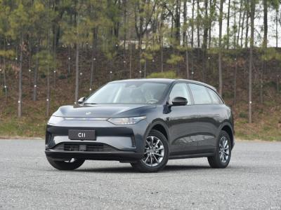 Veículo Elétrico Leapmotor C11 Pure Electric 500 Comfort Edition SUV EV fechado 5 lugares