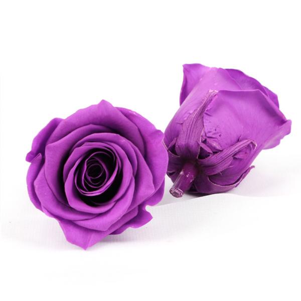 Diâmetro imortal Rose Flower For Mothers Day preservada 5-6cm