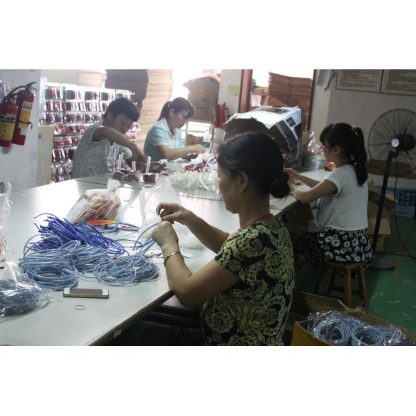 RICHSTAR (SHENZHEN) LIMITED