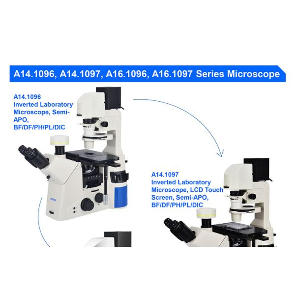 OPTO EDU A14.1096 Laboratory 22mm Inverted Fluorescence Microscope