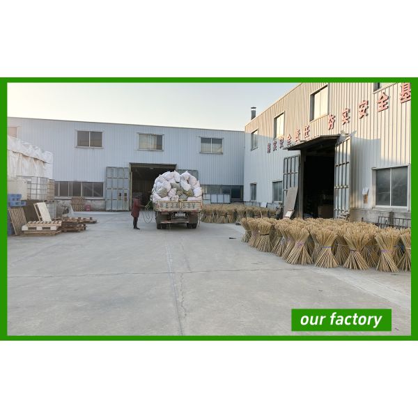 Shanghai Forever Import & Export Co., Ltd.