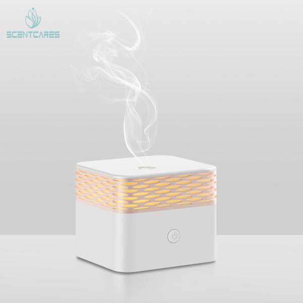 LED Warm White 100ML Essential Oil Diffuser